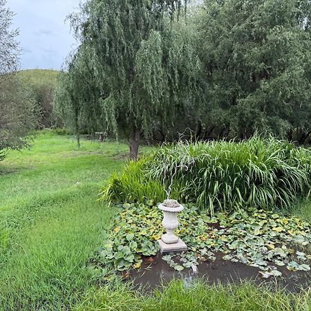 Jovali Clarens Otel Dış mekan fotoğraf